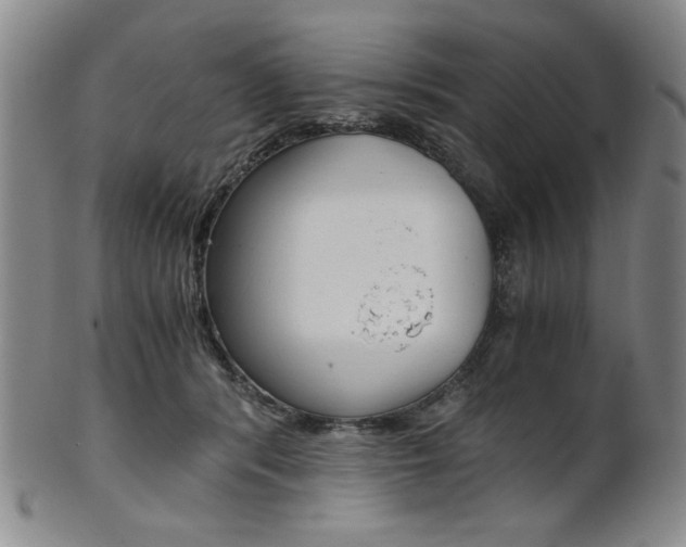 X0000101680416200807101149