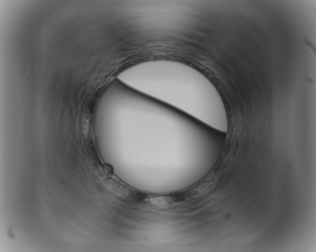 X0000101680417200807101149