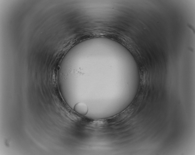 X0000101680418200807101149