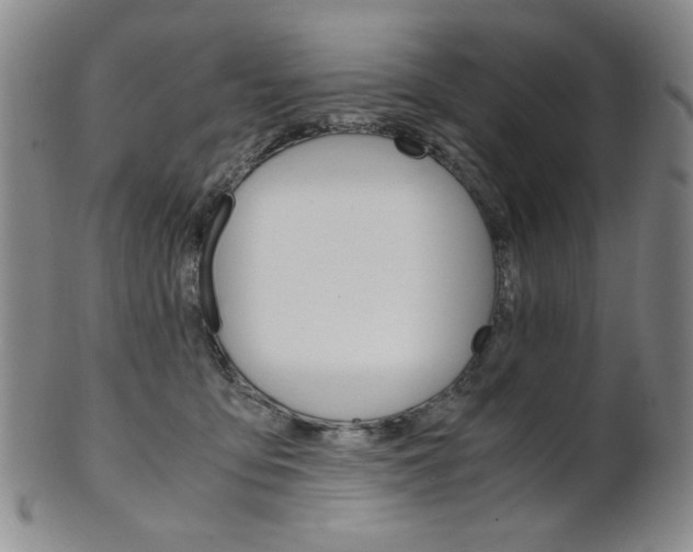 X0000101680419200807101149