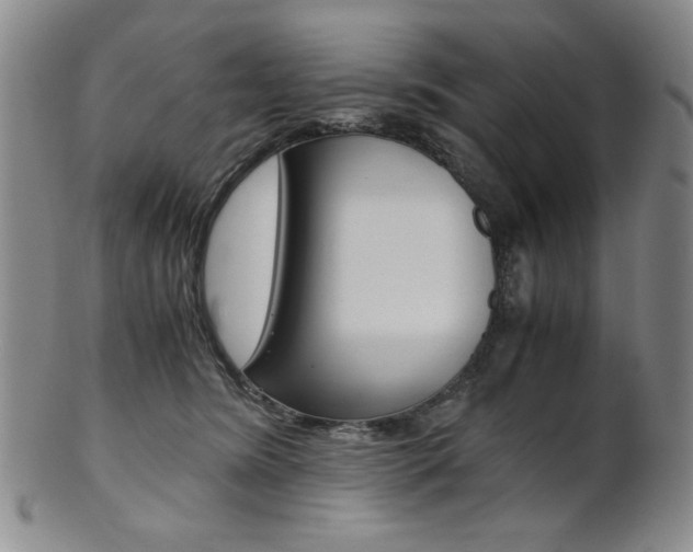 X0000101680420200807101149