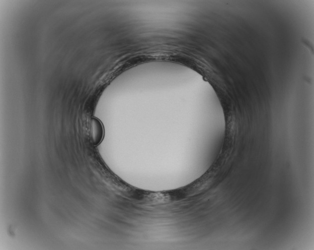 X0000101680421200807101149