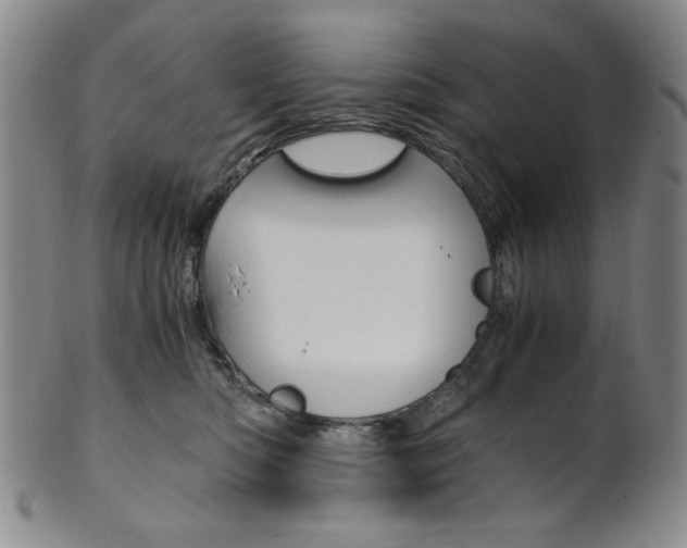 X0000101680422200807101149