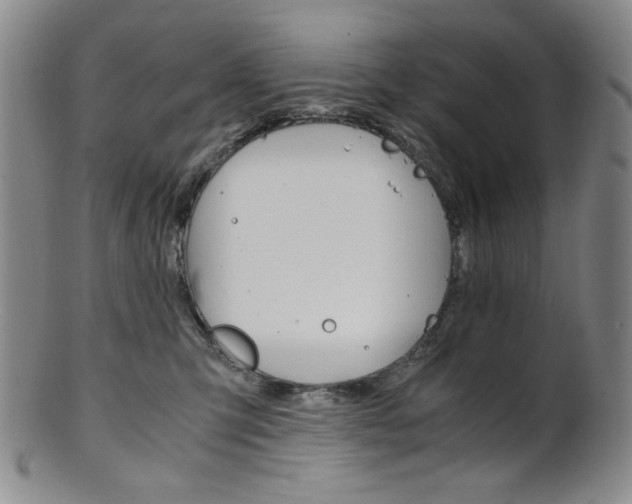 X0000101680423200807101149