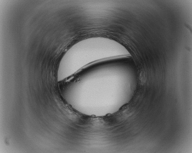 X0000101680424200807101149