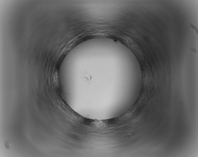X0000101680425200807101149