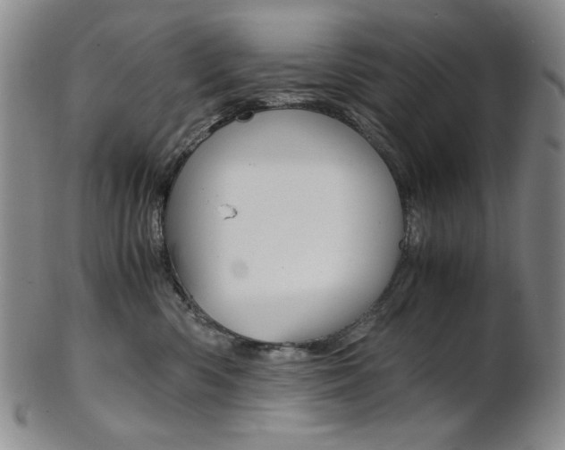 X0000101680426200807101149