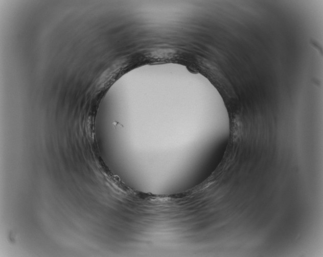 X0000101680428200807101149