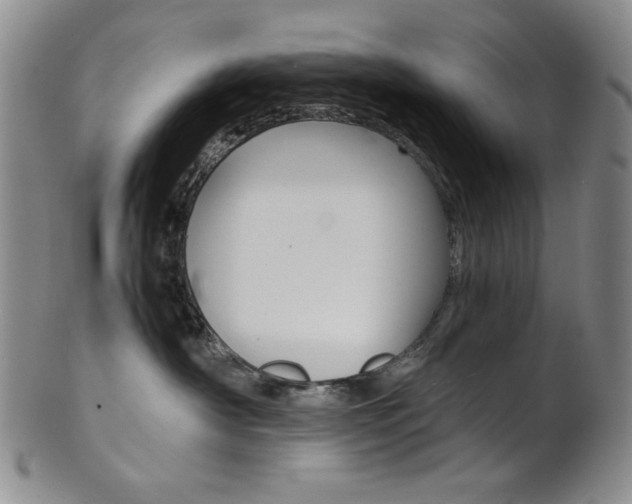 X0000101680430200807101149