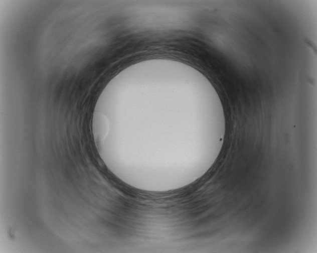 X0000101680431200807101149