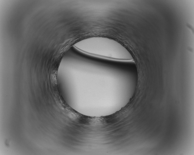 X0000101680432200807101149