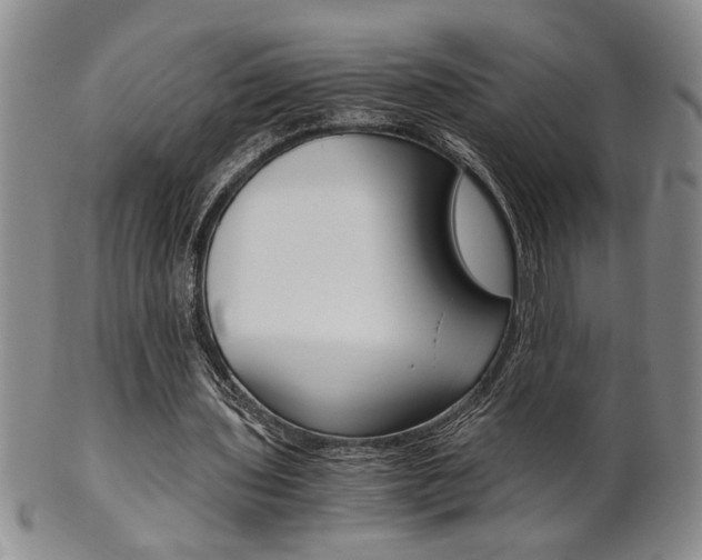 X0000101680435200807101148