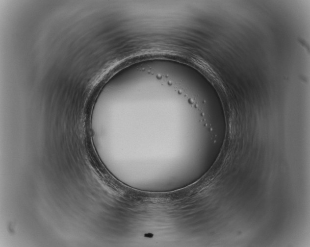 X0000101680436200807101148