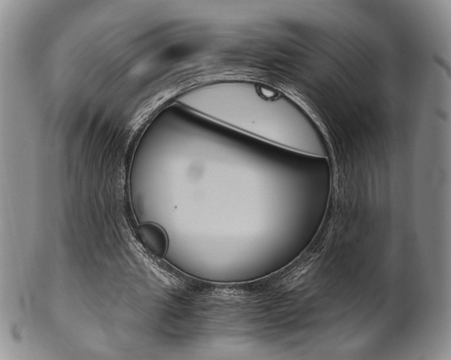 X0000101680437200807101148