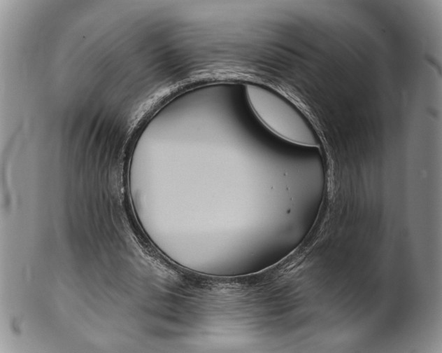 X0000101680438200807101148
