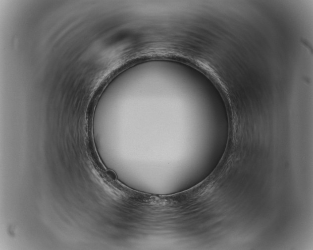 X0000101680439200807101148