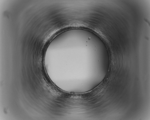 X0000101680440200807101148