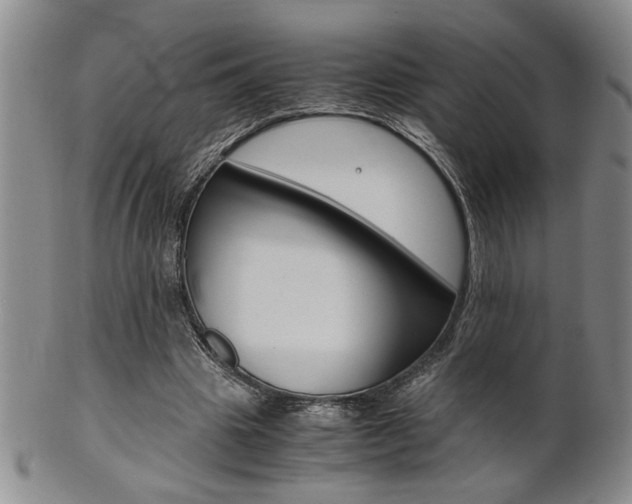 X0000101680441200807101148