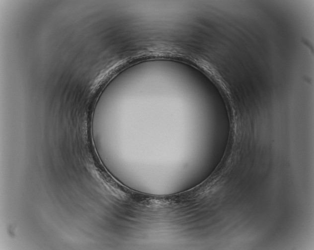 X0000101680442200807101148