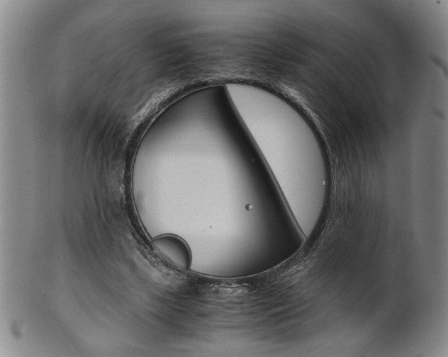 X0000101680443200807101148