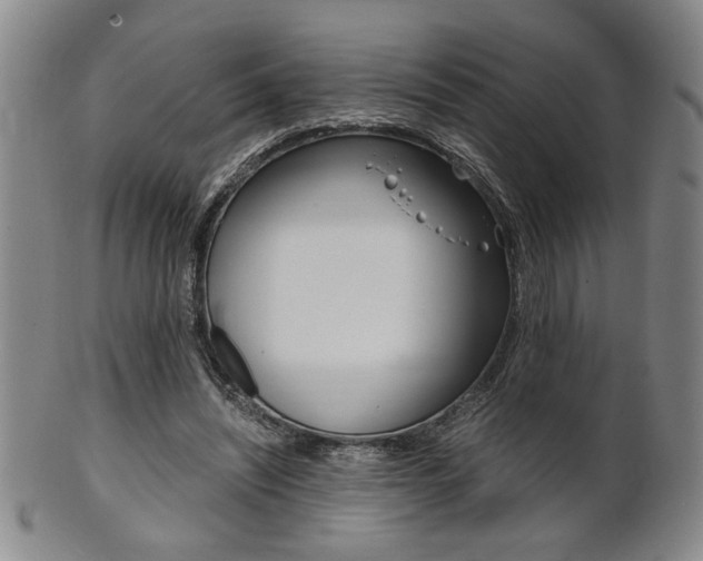 X0000101680444200807101148