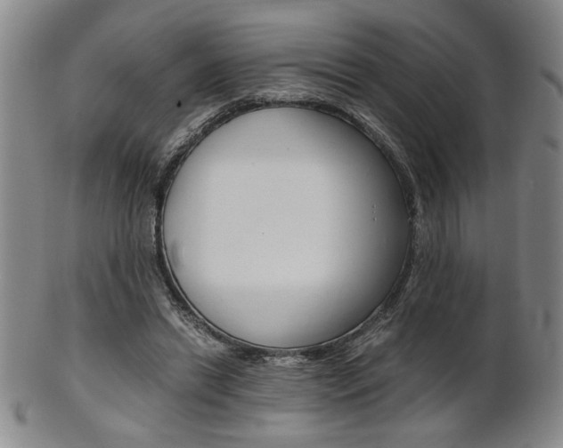 X0000101680446200807101148