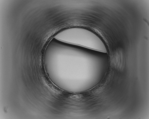 X0000101680447200807101148