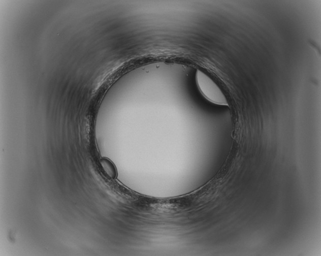 X0000101680448200807101148