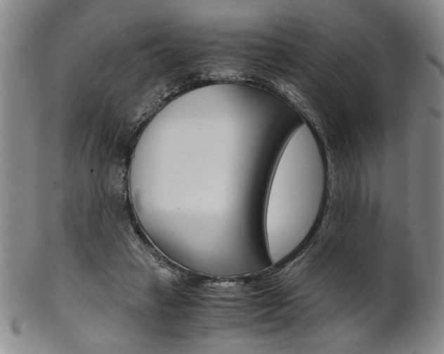 X0000101680449200807101148