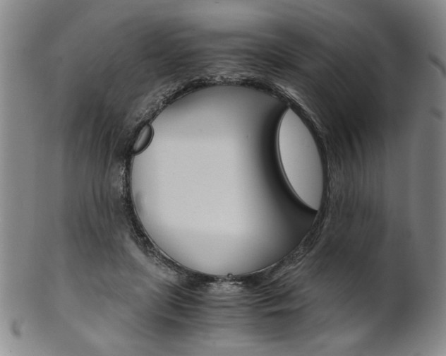 X0000101680451200807101148