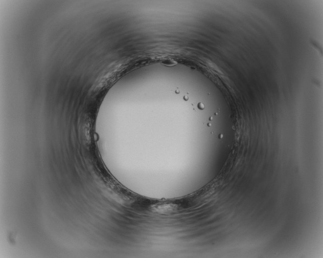 X0000101680452200807101148