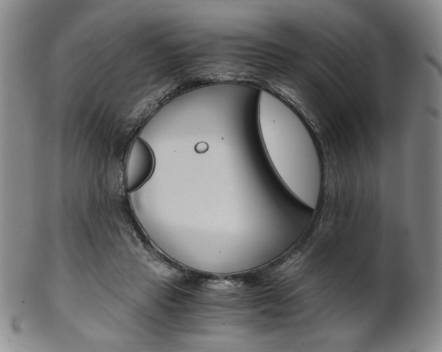 X0000101680453200807101148
