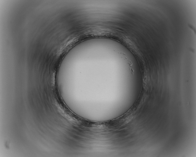 X0000101680454200807101148
