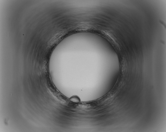 X0000101680455200807101148