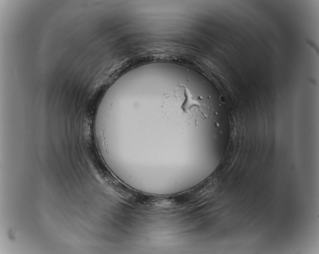 X0000101680456200807101148