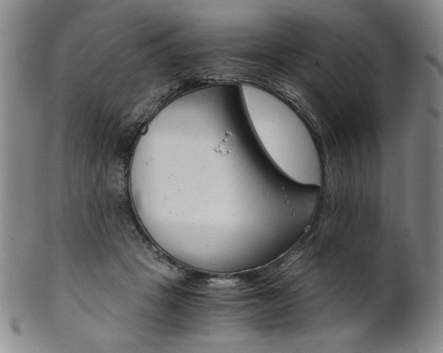 X0000101680457200807101148