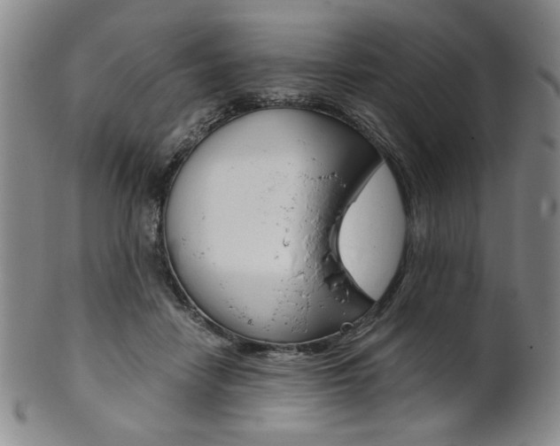 X0000101680458200807101148