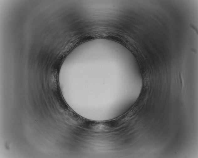 X0000101680460200807101148