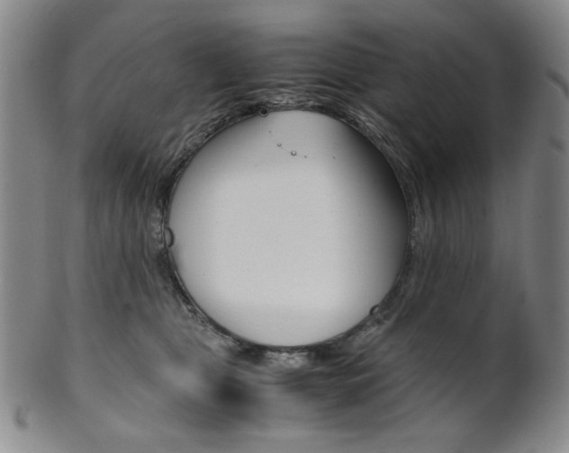 X0000101680469200807101148