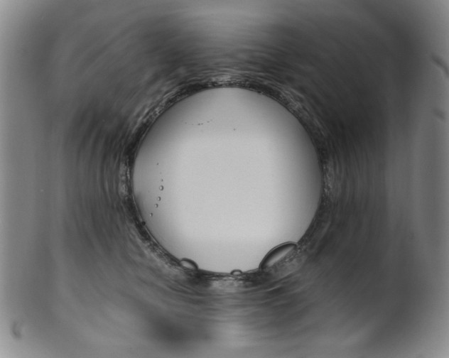 X0000101680470200807101149