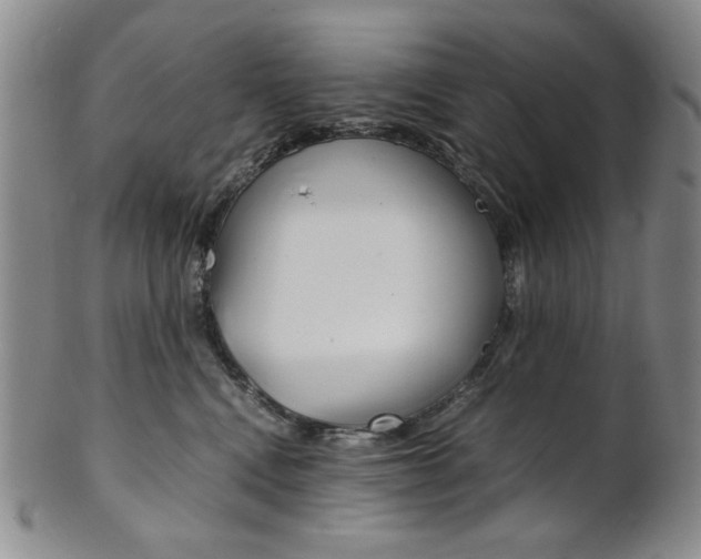 X0000101680472200807101149