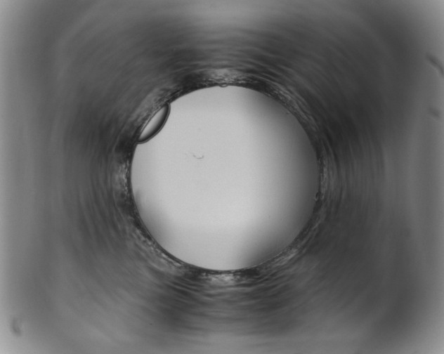 X0000101680473200807101149
