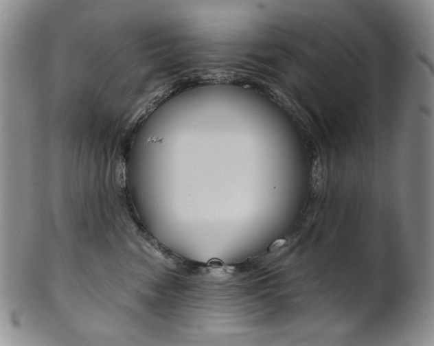 X0000101680474200807101149