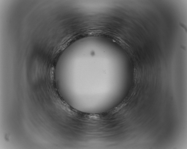 X0000101680475200807101149