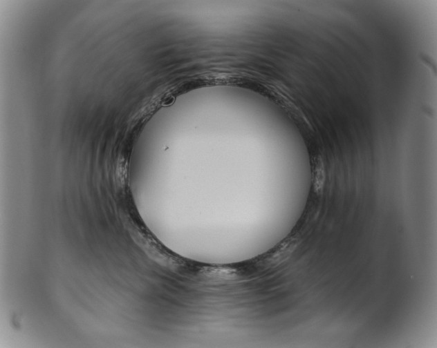 X0000101680476200807101149