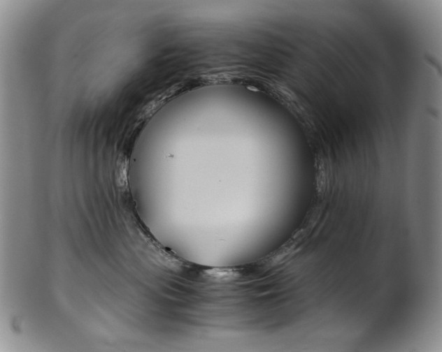 X0000101680477200807101149