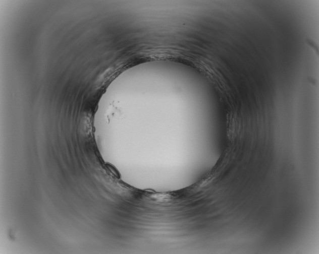 X0000101680478200807101149