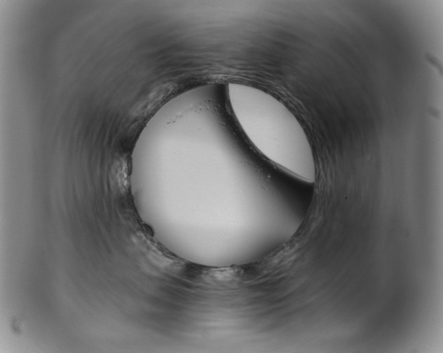 X0000101680479200807101149