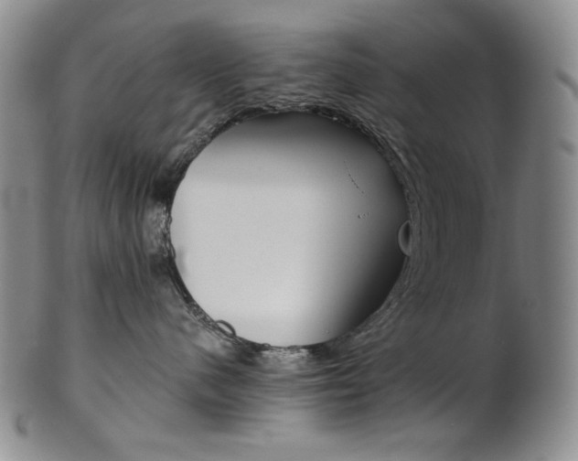 X0000101680480200807101149