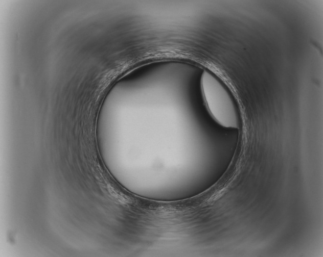 X0000101680481200807101148